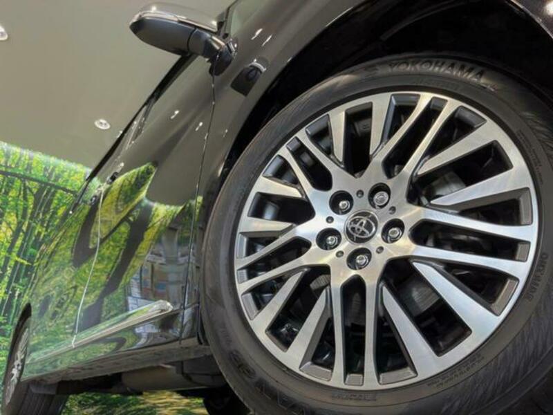ALPHARD-13