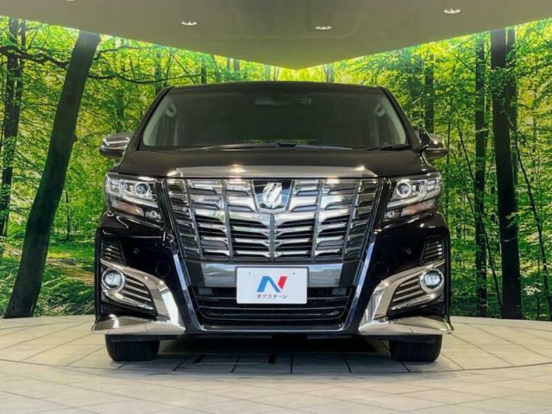 ALPHARD-14
