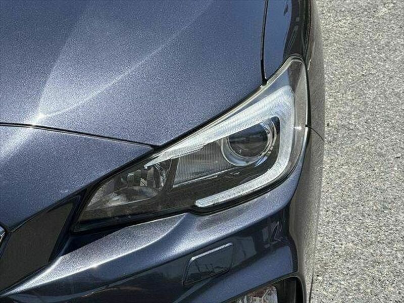 LEVORG-18