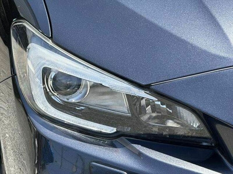 LEVORG-19