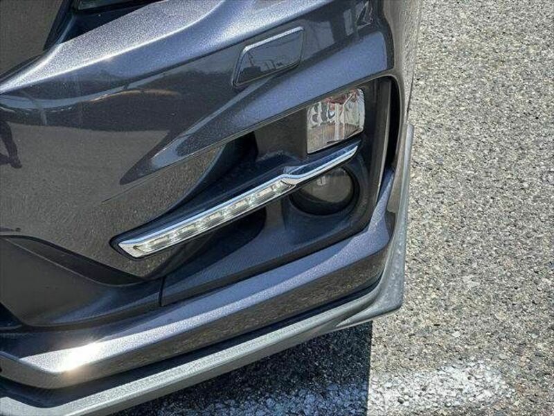 LEVORG-20