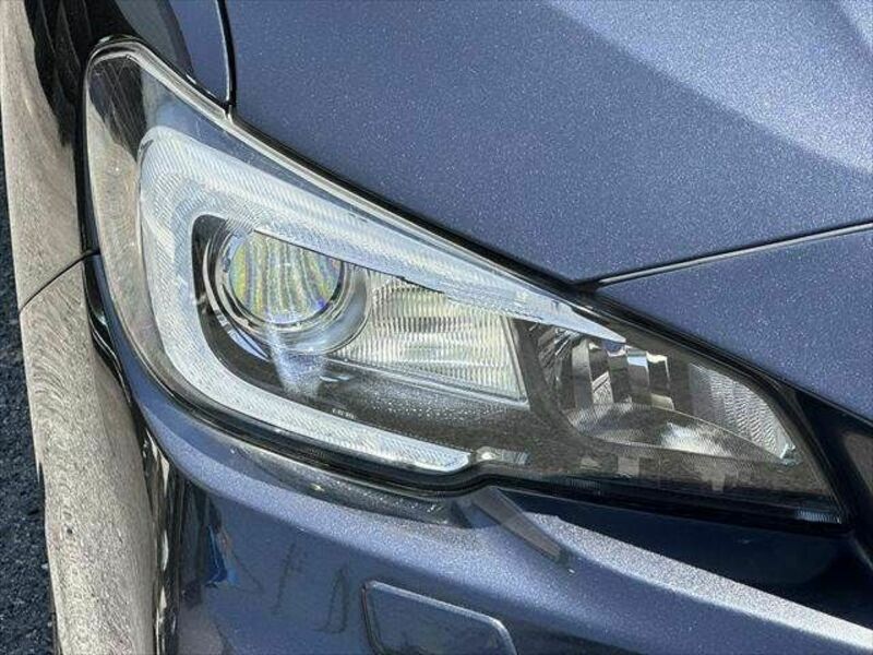 LEVORG-27