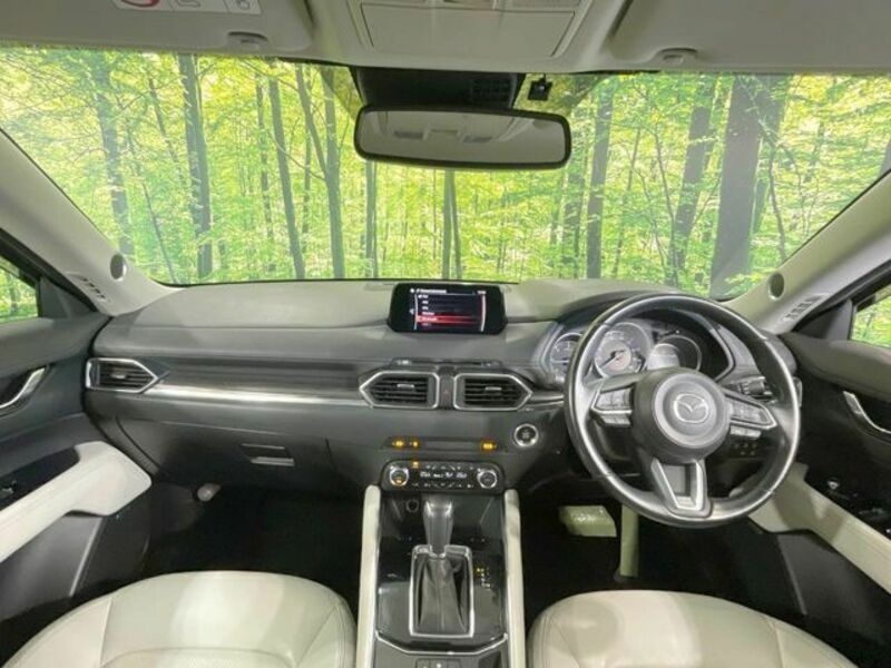 CX-5-1