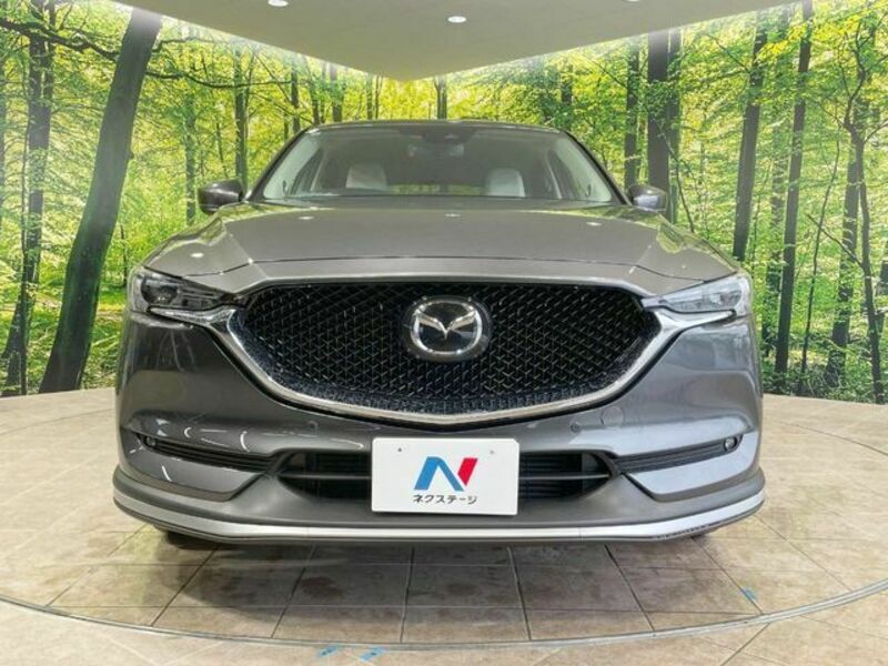 CX-5-13
