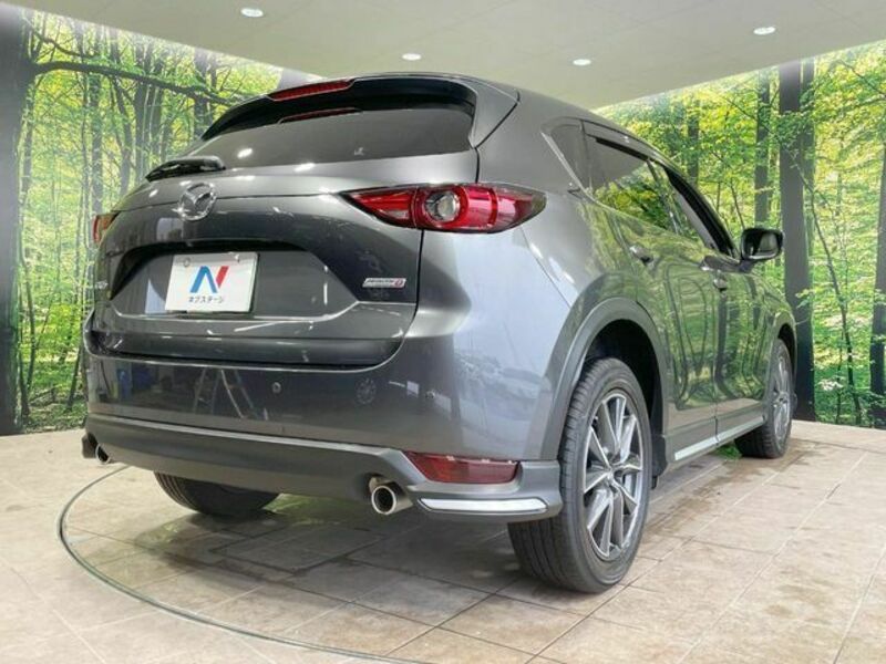 CX-5-16