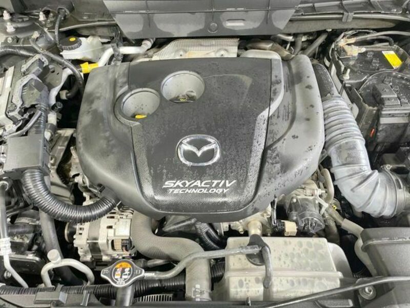 CX-5-17