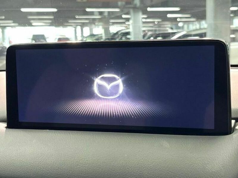 CX-8-2