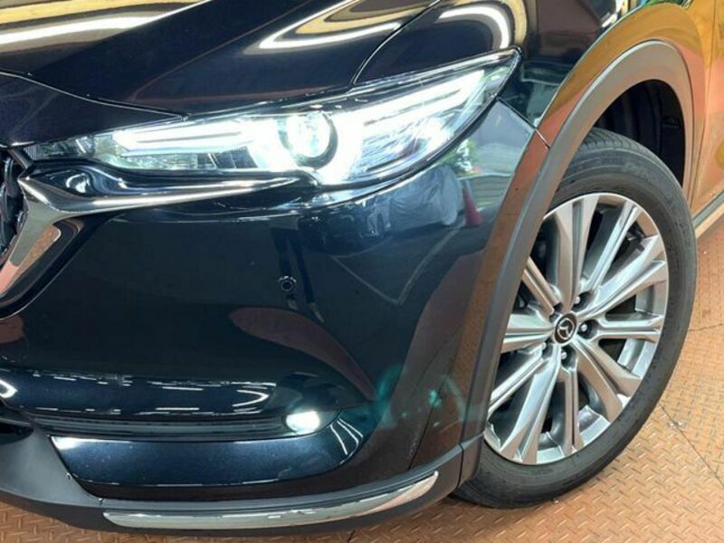 CX-8-14