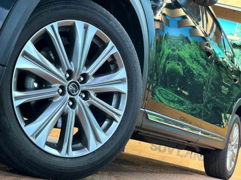 CX-8-15
