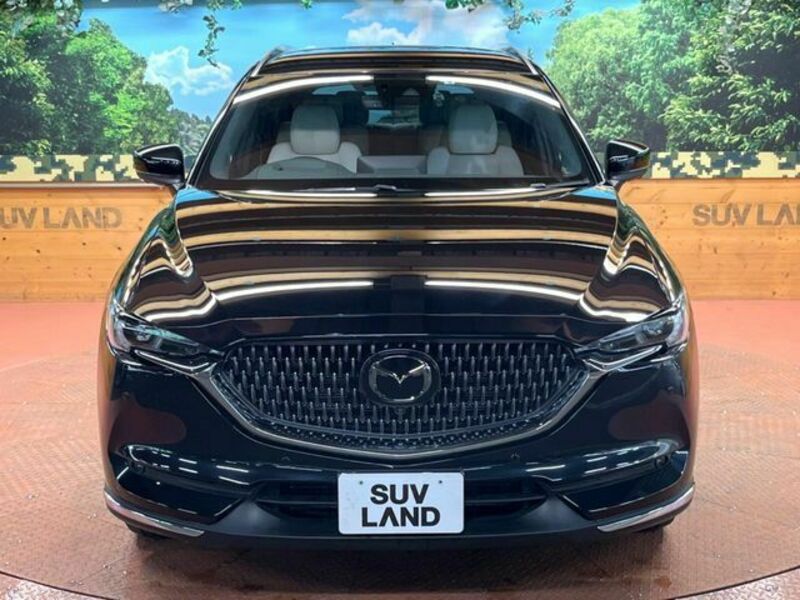 CX-8-16