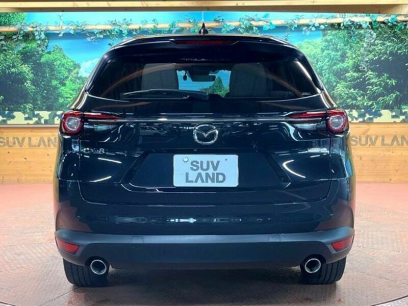 CX-8-17