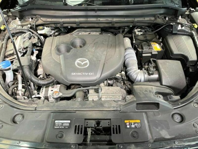 CX-8-18