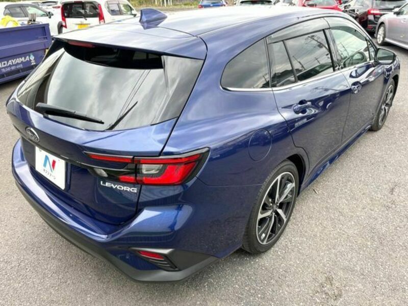 LEVORG