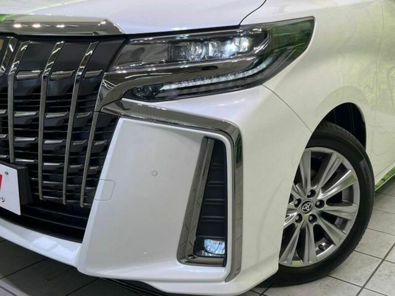 ALPHARD-13