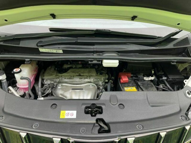 ALPHARD-19