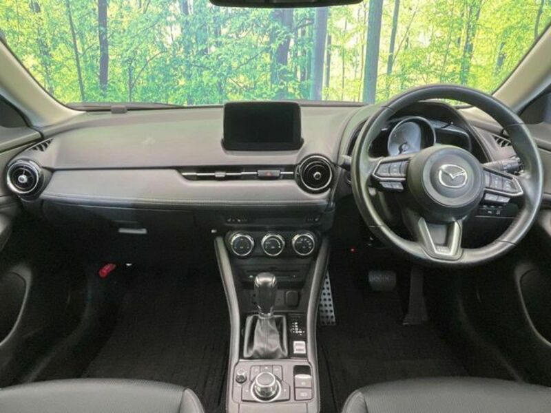 CX-3-1