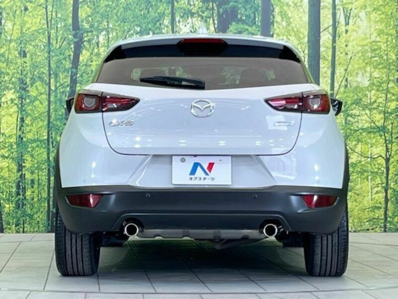 CX-3-15