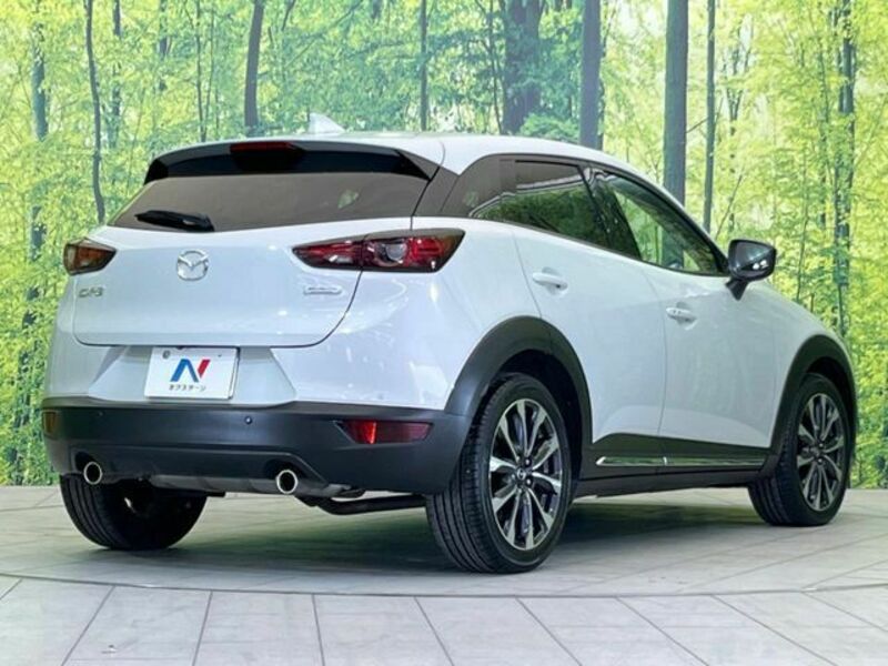 CX-3-17