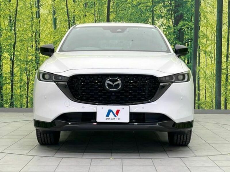 CX-5-13