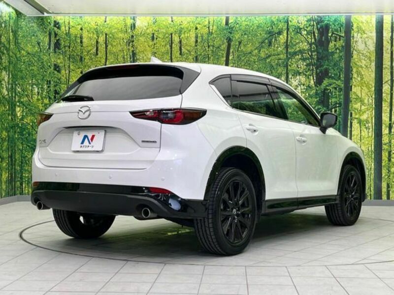 CX-5-16