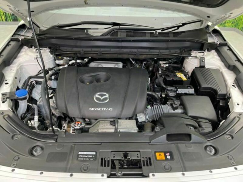 CX-5-17