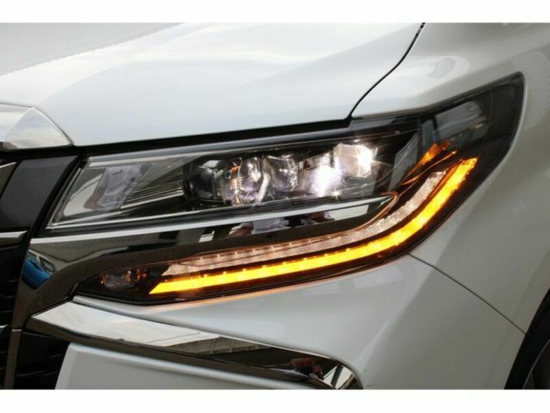 ALPHARD-10