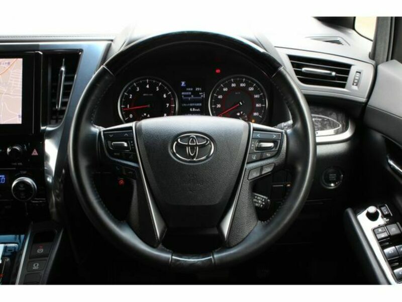 ALPHARD-16