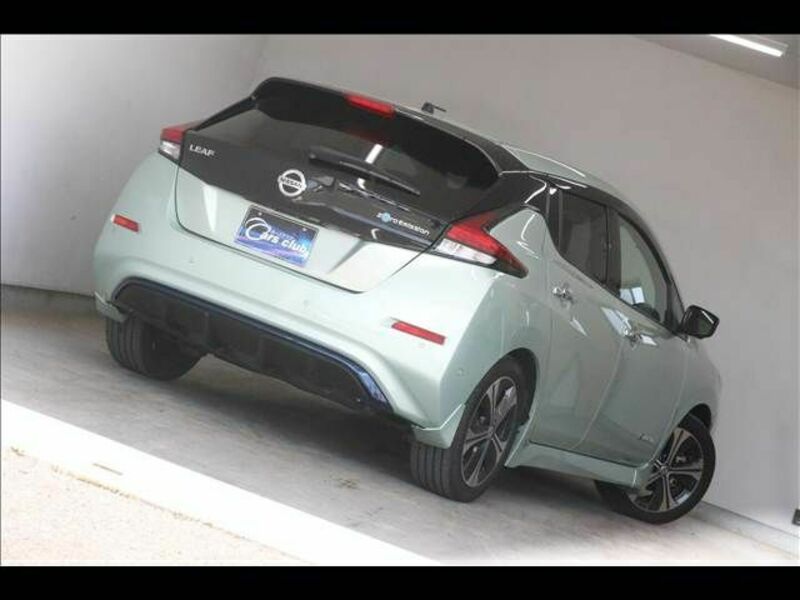 LEAF-11