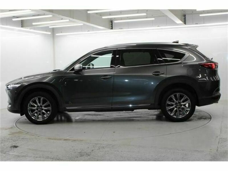 CX-8-9
