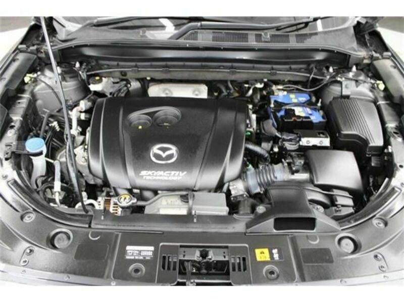 CX-8-18