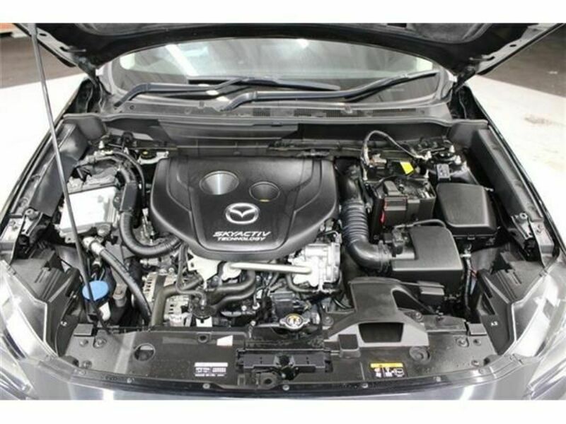 CX-3-18