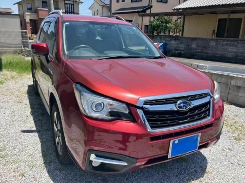 FORESTER
