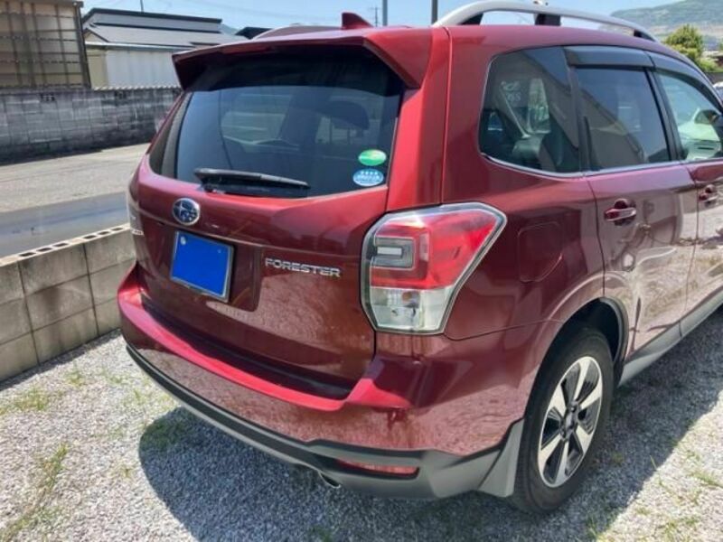 FORESTER