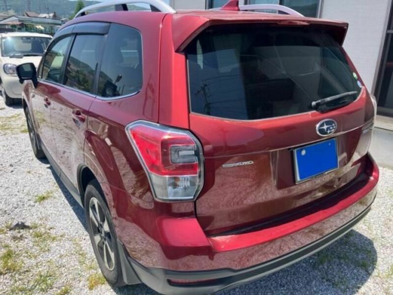 FORESTER