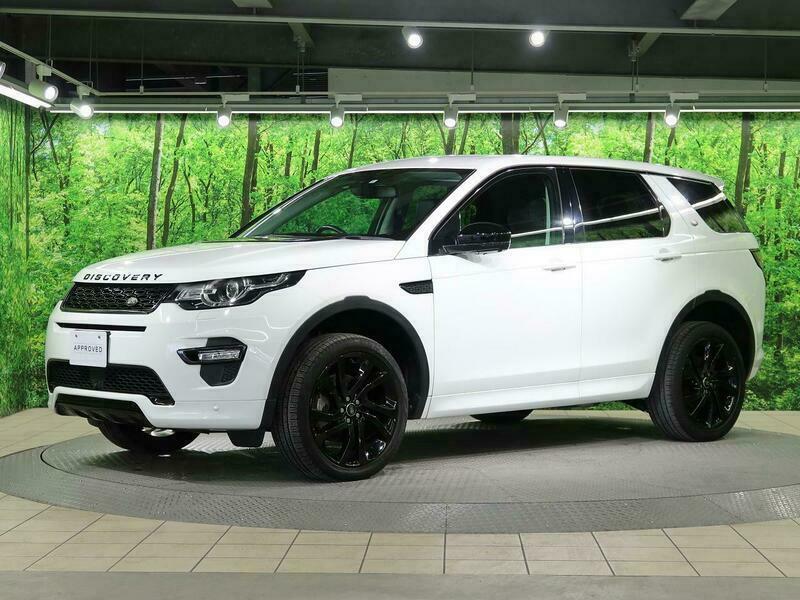 DISCOVERY SPORT-39