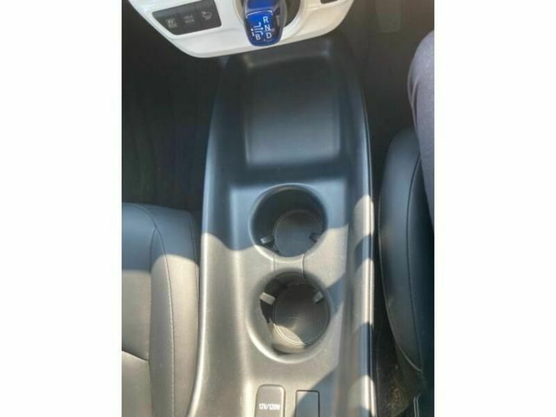 PRIUS-21