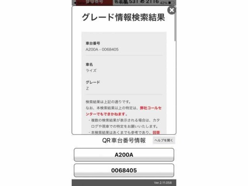 RAIZE-1
