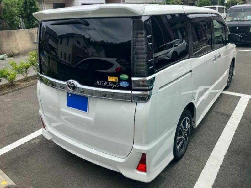 VOXY-20