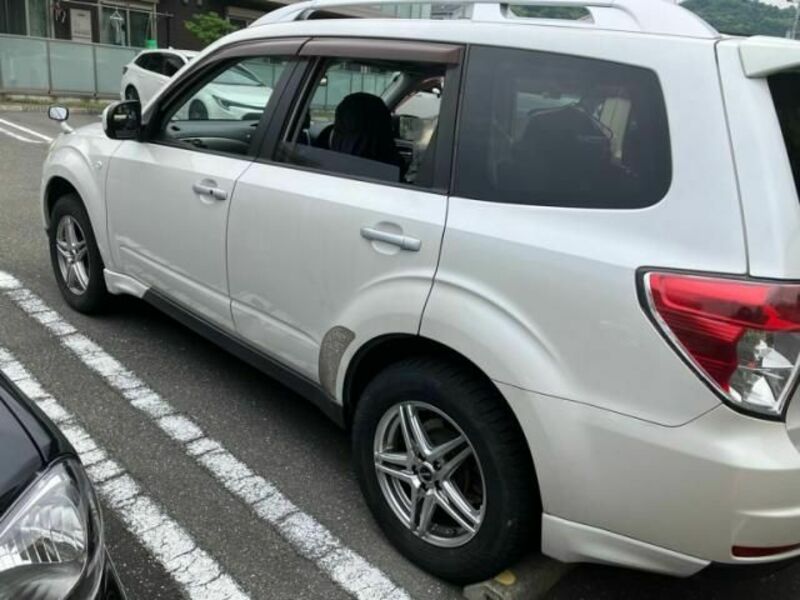 FORESTER-3