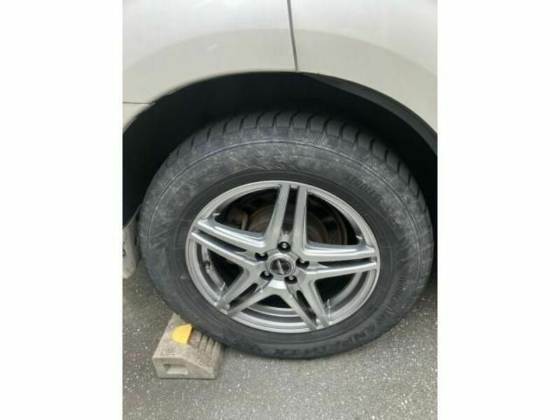 FORESTER-5