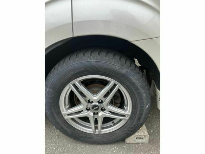 FORESTER-6