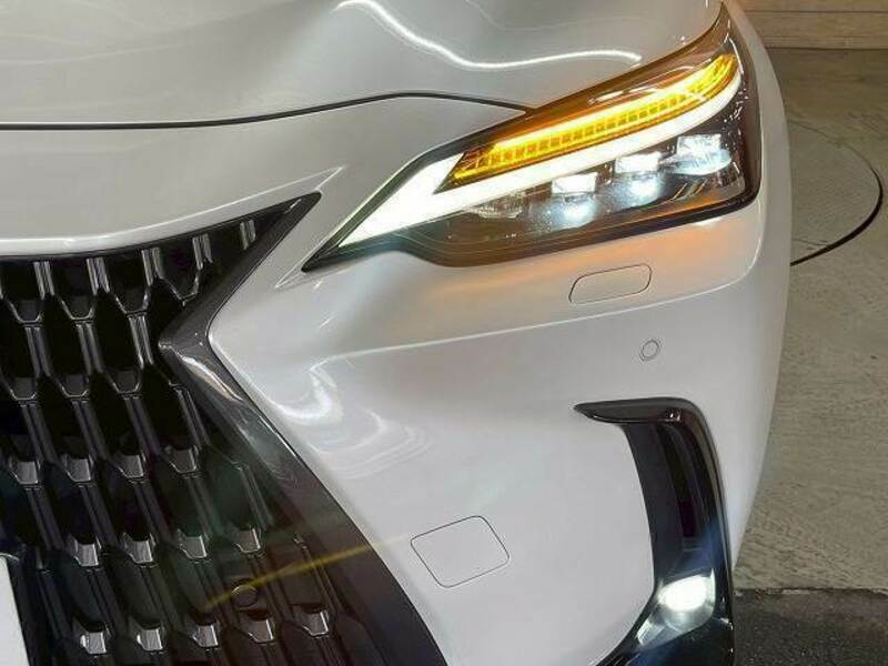 NX