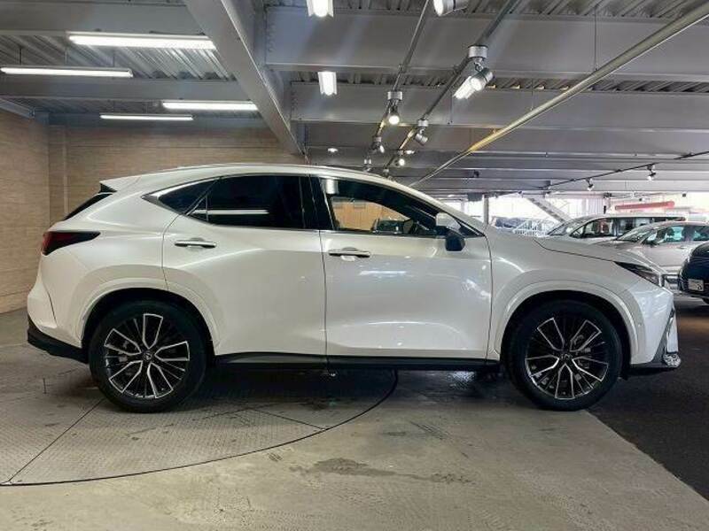 NX