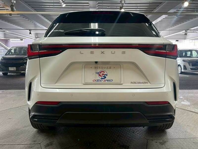 NX