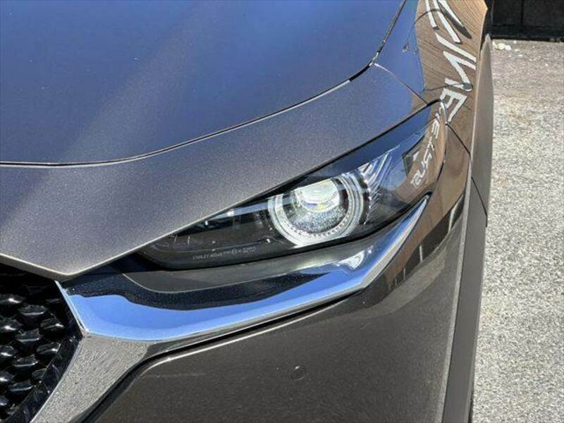 CX-30