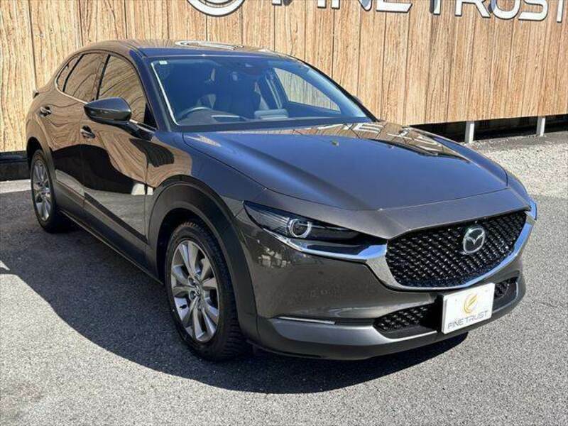 CX-30