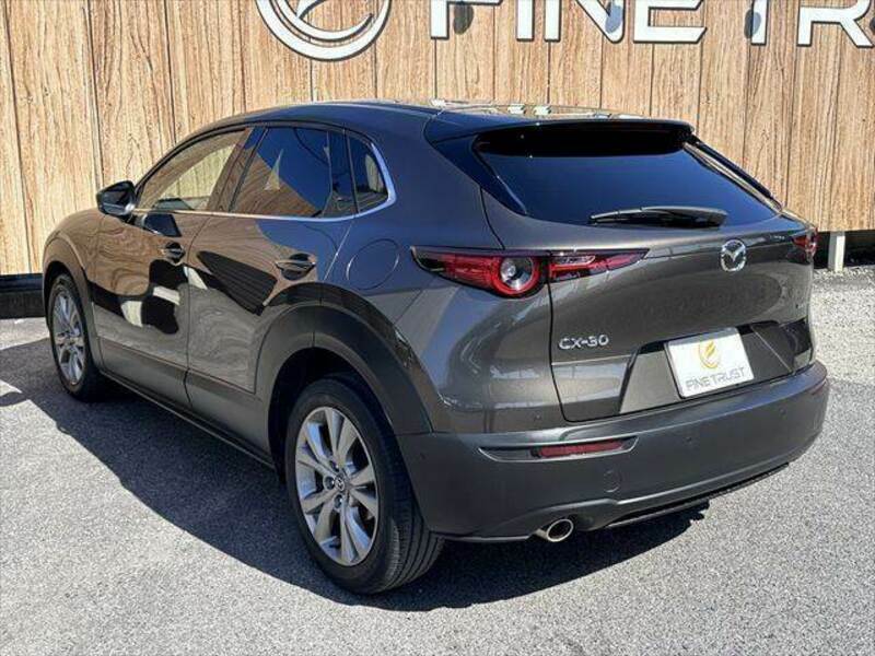 CX-30