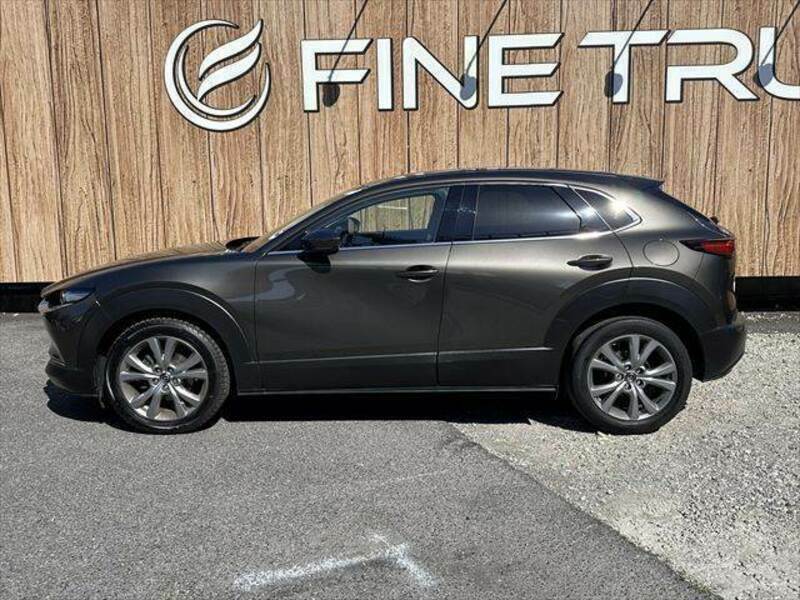 CX-30