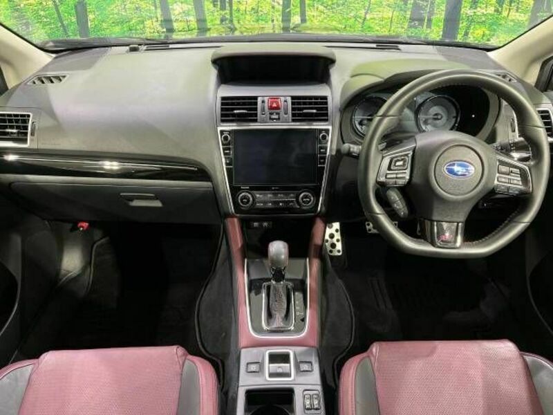 LEVORG