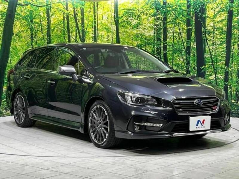 LEVORG